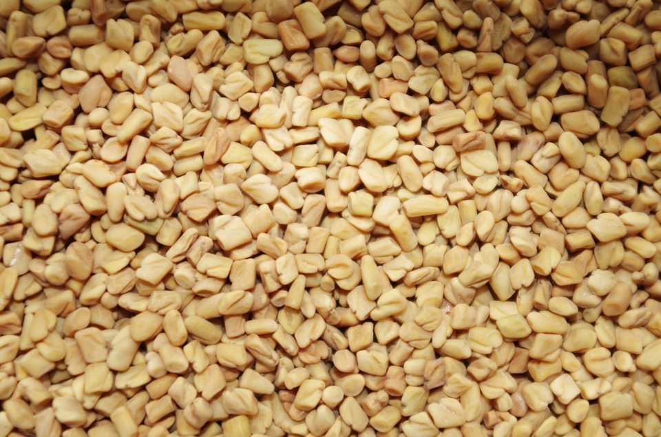 fenugreek seeds for hair