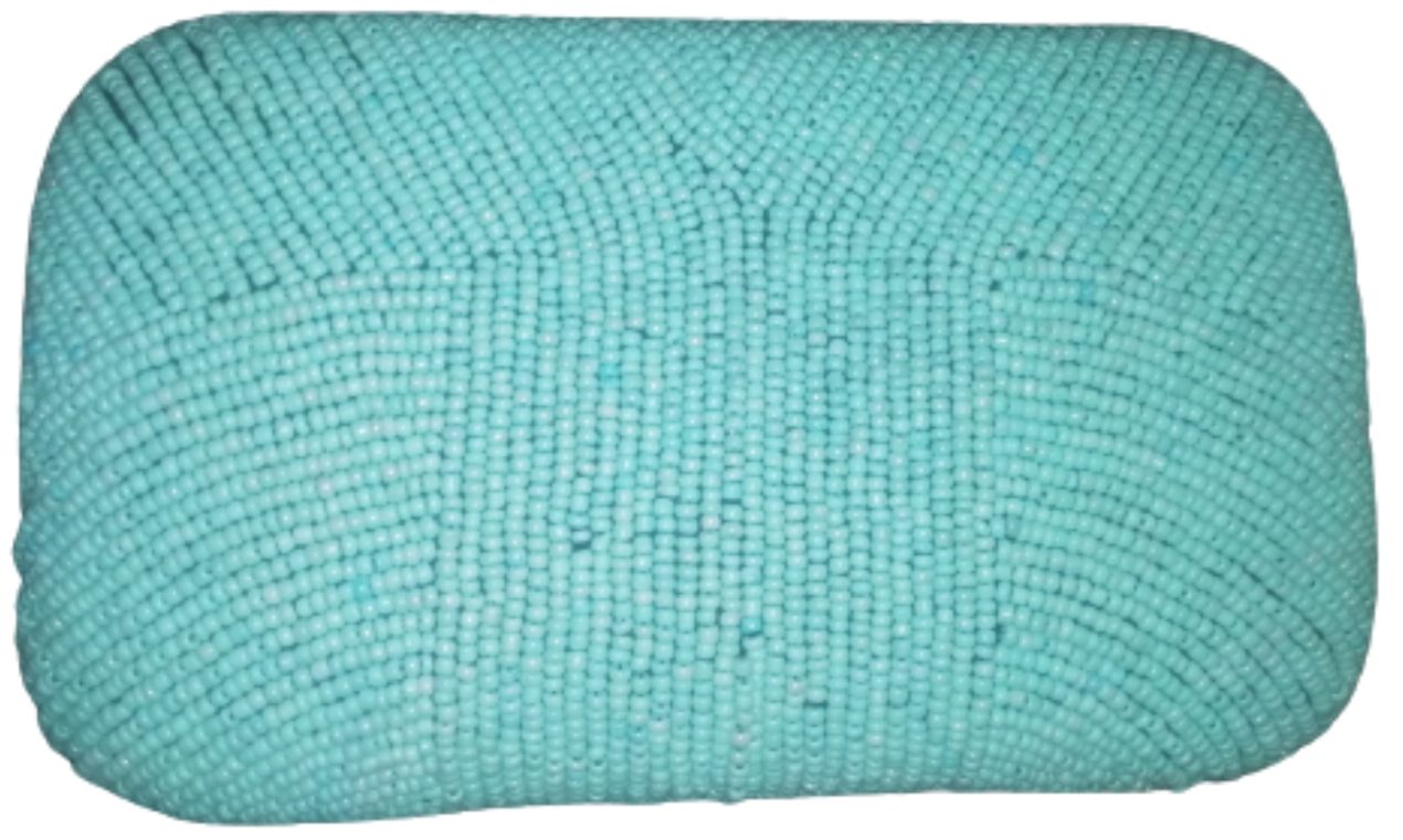 Women's Casual Sky Blue Beads Clutch