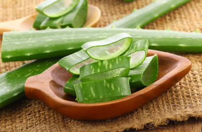 Aloe vera for hair conditioning