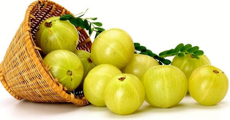 amla for hair fall solution 